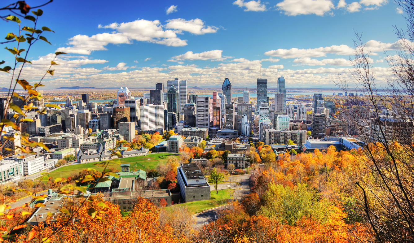 A Mountain view of Montreal City, Canada in the fall. The sky is clear and it is a sunny day. A cluster of gray, multiple-sized buildings are visible in the center of the photo. Lush, fall foliage lines the front of the image, and a body of water is visible in the back of the photo.