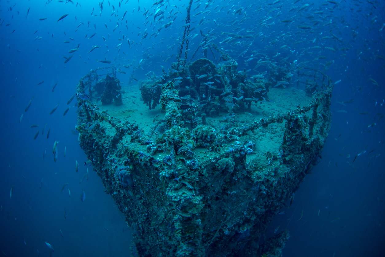 Wreck of Steamship Vis
