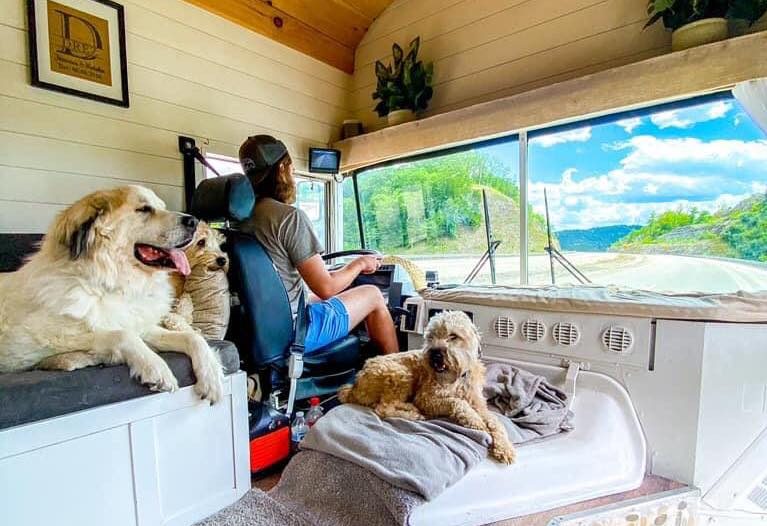 camper bestuurder met honden