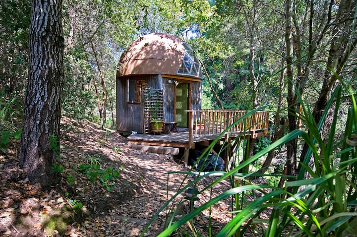 meest geboekte airbnb mushroom dome