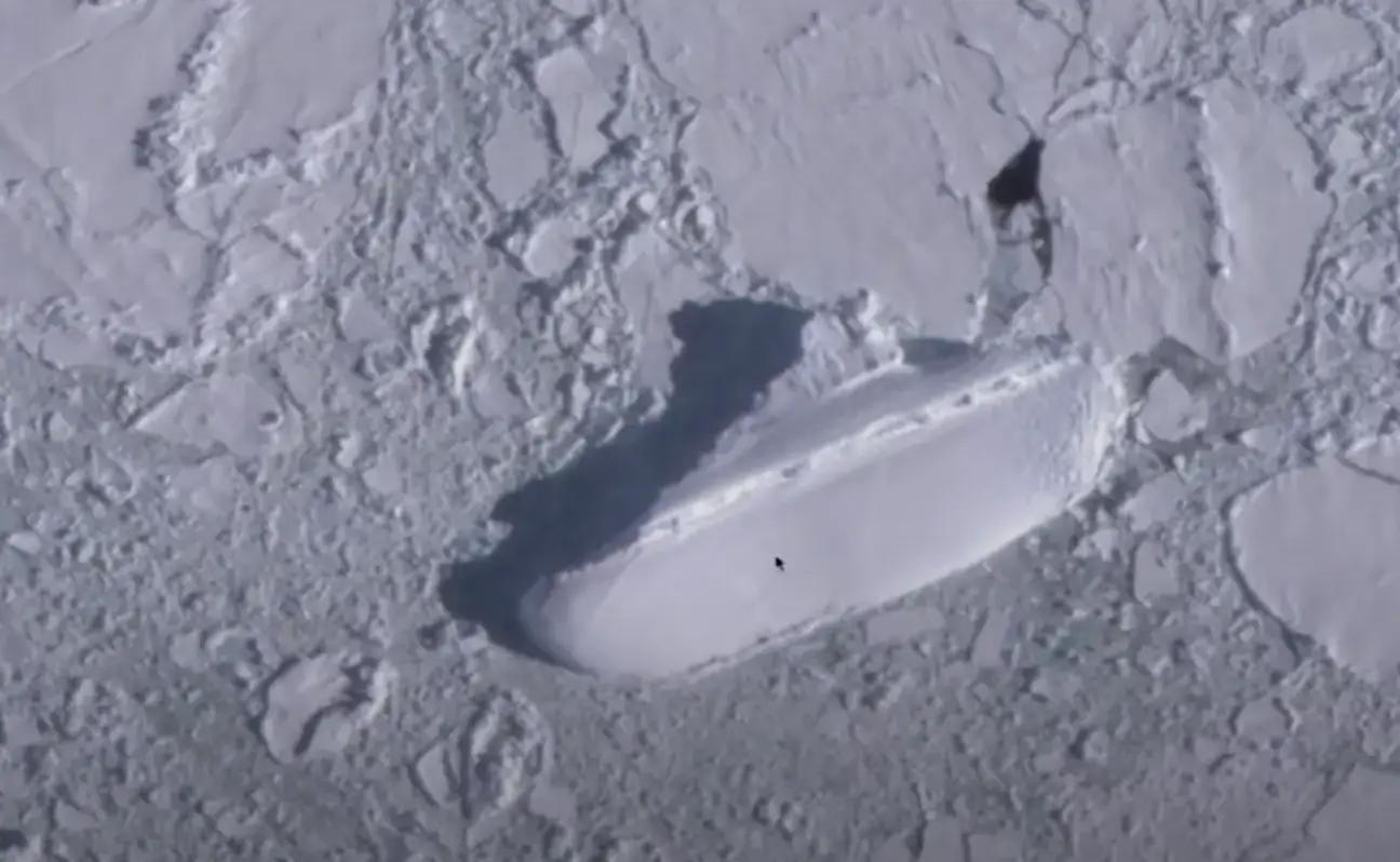 cruise schip ijs antarctica