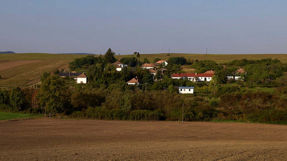 Deze Nederlandse baas koopt een dorp op voor een festival in Hongarije