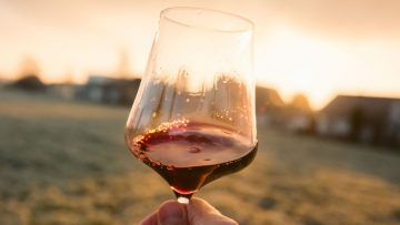 10 lekkere alcoholvrije wijnen als gezonder alternatief