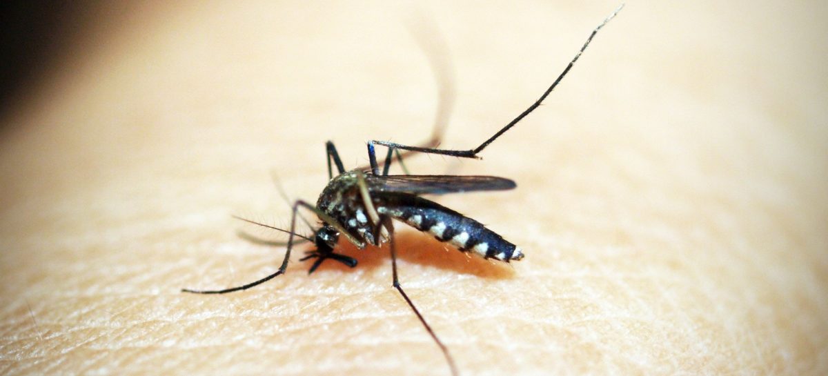 5 creatieve tips tegen muggen in je slaapkamer man man
