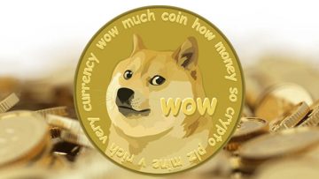 Wat is Dogecoin en waarom stijgt deze crypto zo hard?