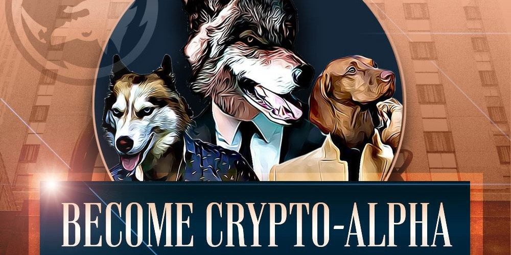 Wolves of Wall Street verandert de cryptowereld door gamification en SFT’s