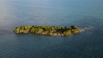 Jij kan nu voor een prikkie mede-eigenaar worden van een eiland in Belize