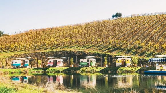 Je kan nu bij deze prachtige wijngaard een vintage camper huren voor een topvakantie