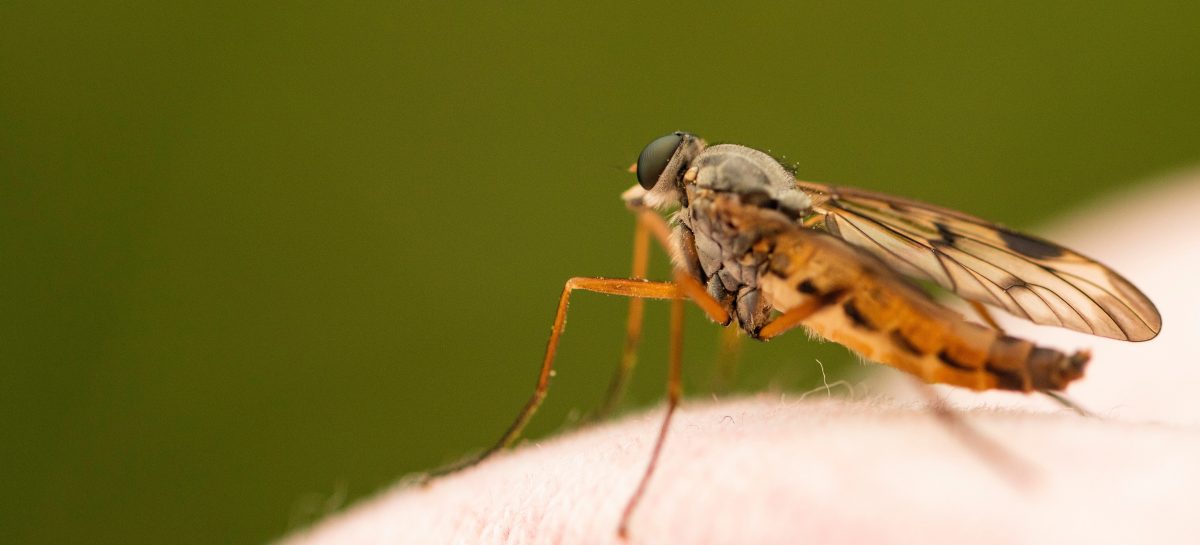 5 huismiddel trucjes tegen jeukende muggenbulten