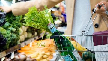 De prijsverschillen van een vol boodschappenmandje bij 6 supermarkten in Nederland