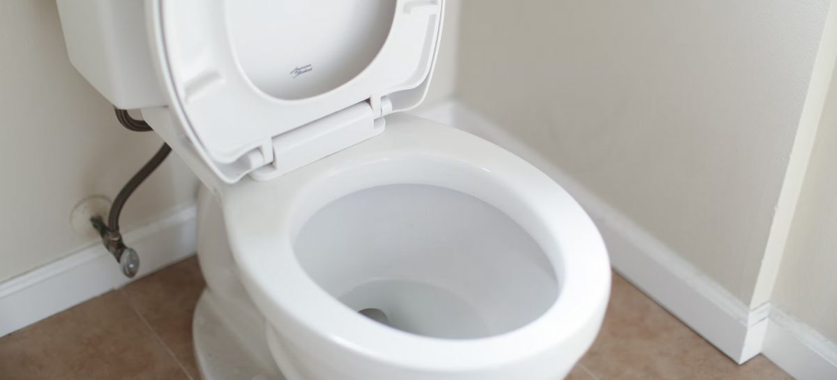 Hoeveel kost het gebruik van een wc per jaar?