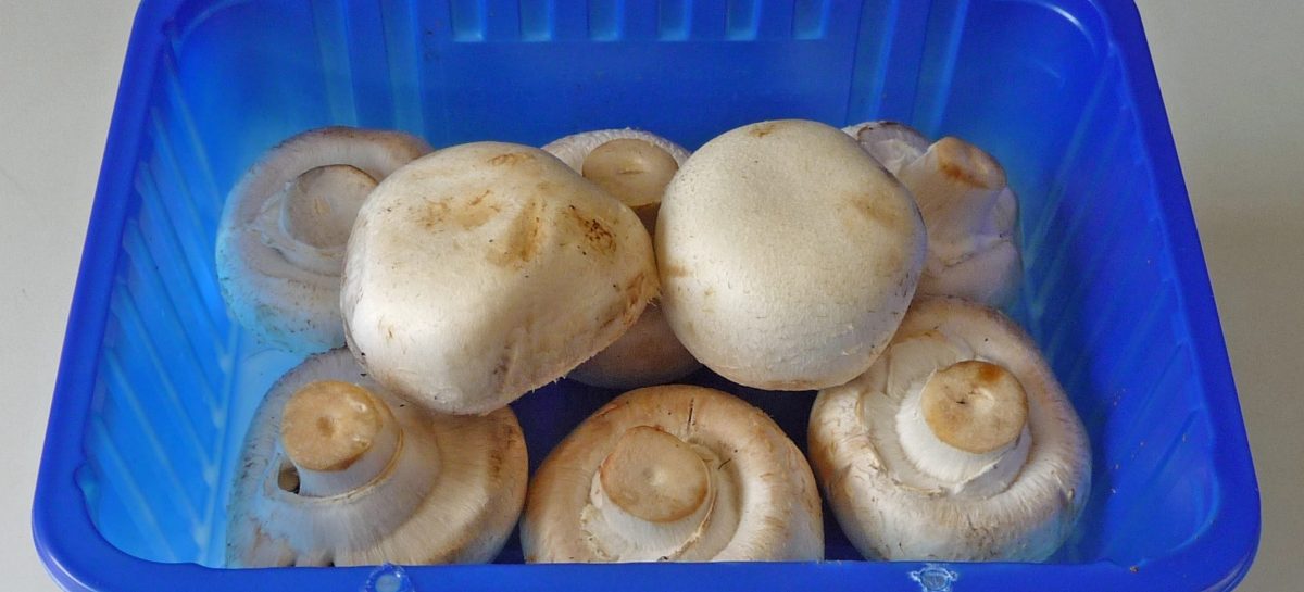 Moet je champignons nou wel of niet wassen voordat je ze gebruikt?