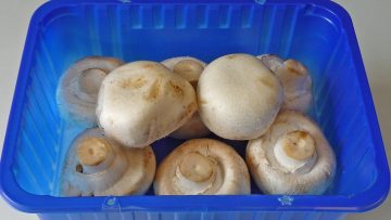 Moet je champignons nou wel of niet wassen voordat je ze gebruikt?