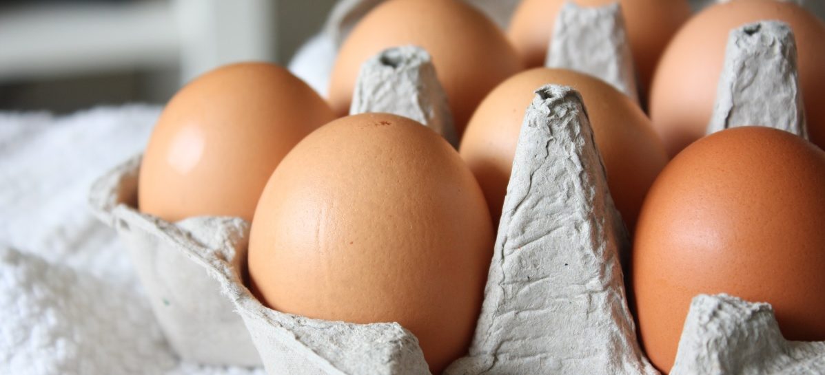 Wat is nou echt het verschil tussen bruine en witte eieren?