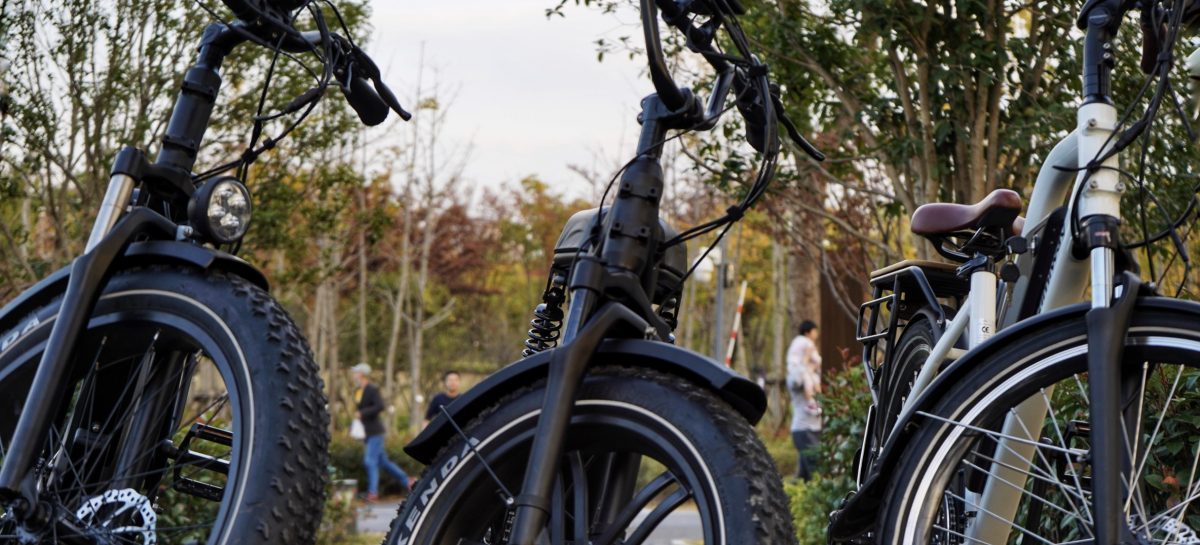 Onze nationale trots: 10 Nederlandse e-bike merken