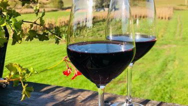 De top 10 beste rode wijnen van de Lidl