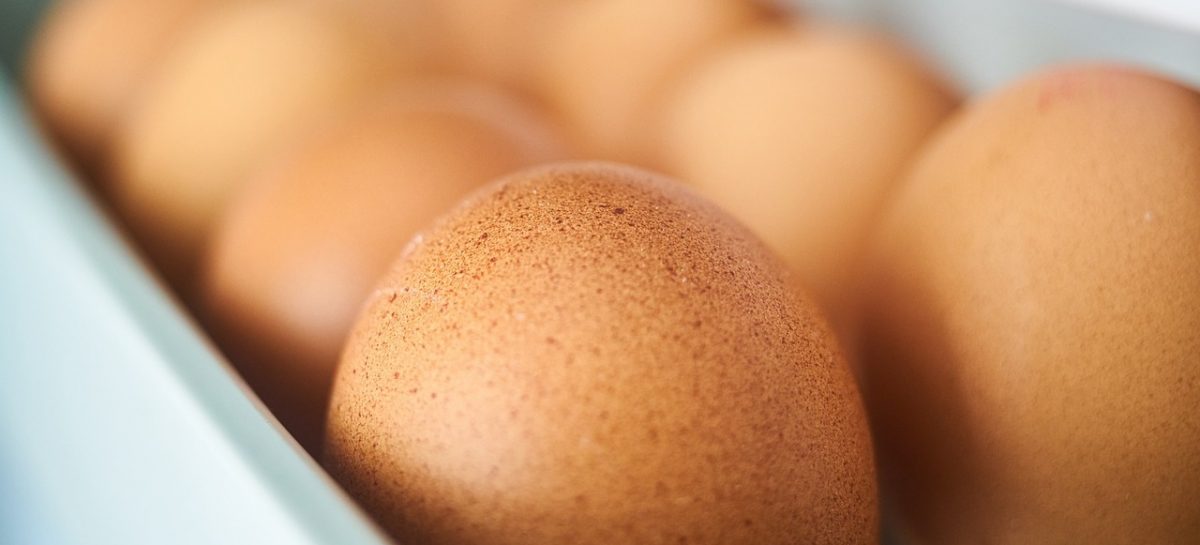 Waarom je eieren niet in de koelkastdeur moet bewaren