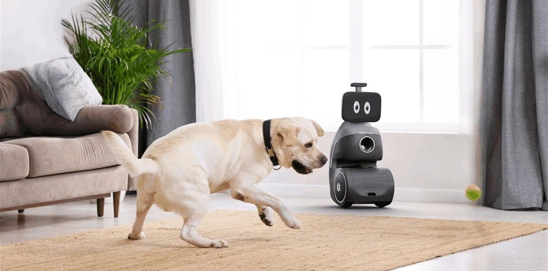 Deze honden-oppasrobot gooit ballen, geeft eten en heeft nog veel meer premiumfeatures