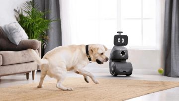 Deze honden-oppasrobot gooit ballen, geeft eten en heeft nog veel meer premiumfeatures
