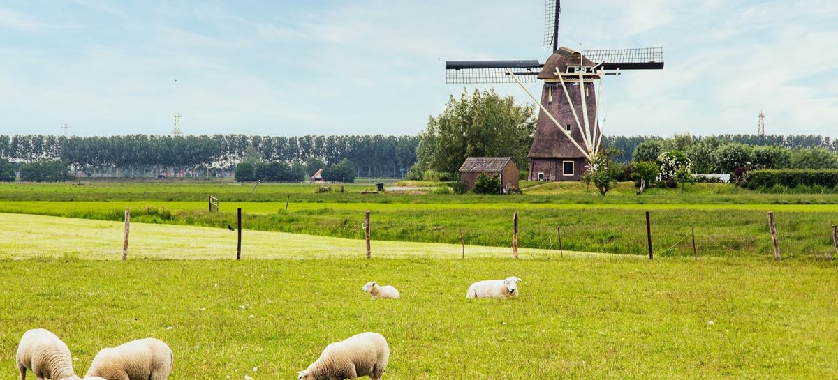 Veiligheidsmonitor: “De gelukkigste mensen van Nederland wonen in Twente”