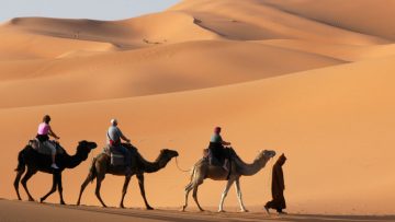 Reislust #9: Hobbelend op een kameel door de woestijnen van Marokko